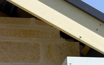 soffit repair Thropton